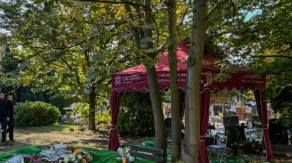 Calvaria Szczecin 13