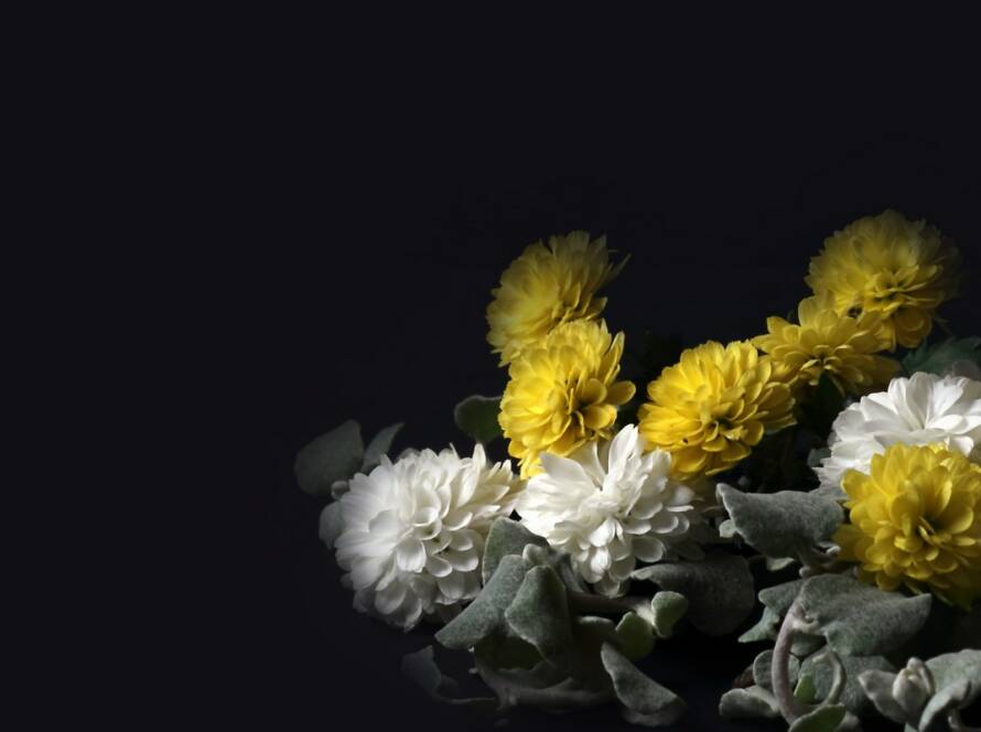 779db1eb 12ff 4c78 bdd0 50a0c0686b0a